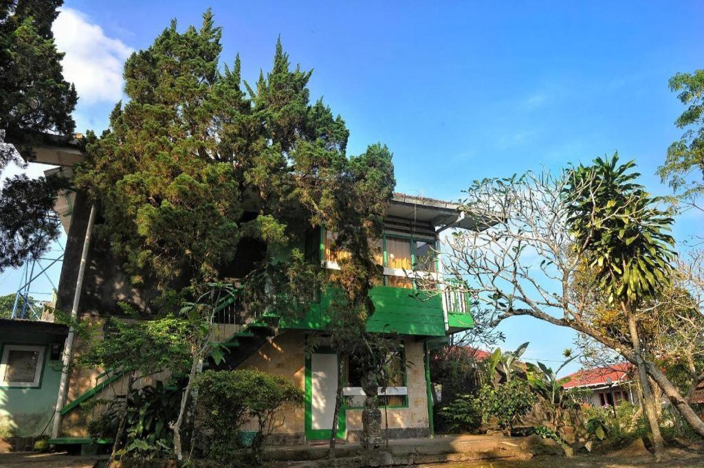 Vogels Homestay *